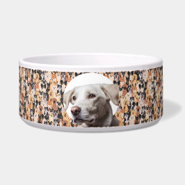 Labrador Retriever Personalisieren Foto & Name Dog Napf