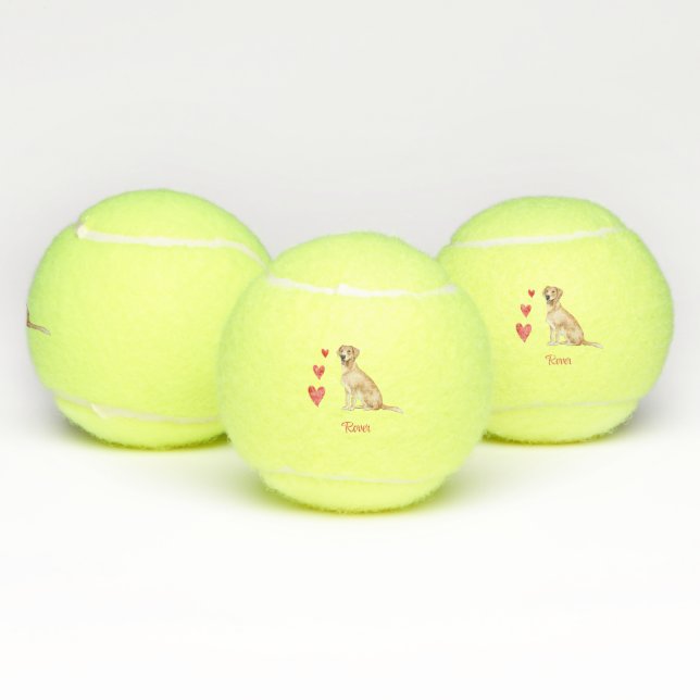 Labrador Retriever Personalisiert Hund Tennisbälle (Multi)