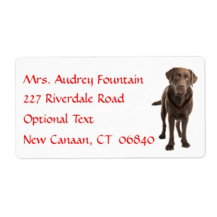 Labrador Retriever Personalisiert Name Address Lab