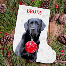 Labrador Retriever Pet Dog Paw Prinz Weihnachten