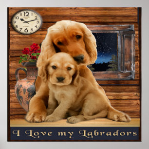 Labrador Retriever-Plakate Poster