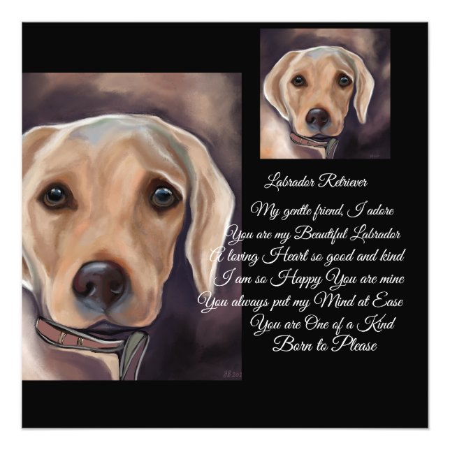 Labrador Retriever Poetry Fotodruck (Vorne)