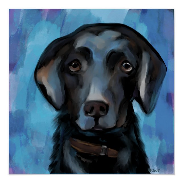 Labrador Retriever Poster (Vorderseite)