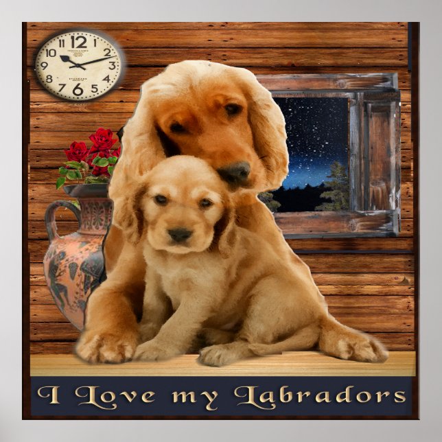Labrador Retriever Poster (Vorne)