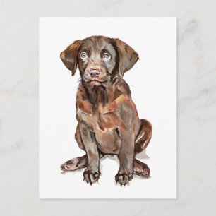 Labrador Retriever Postkarte
