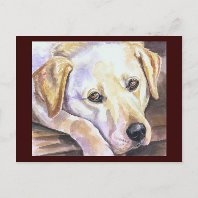 Labrador Retriever Postkarte (Vorderseite)