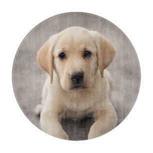 Labrador Retriever Puppy Schneidebrett