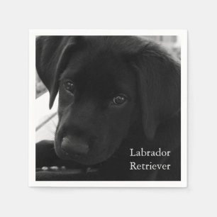 Labrador Retriever Puppy Serviette