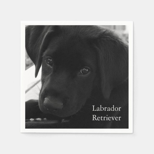 Labrador Retriever Puppy Serviette (Vorderseite)