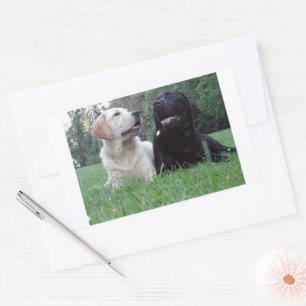 Labrador Retriever Rechteckiger Aufkleber