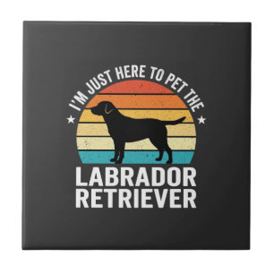 Labrador Retriever Retro Hund Streicheln Fliese