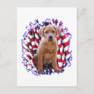 Labrador Retriever (rot) Patriot Postkarte