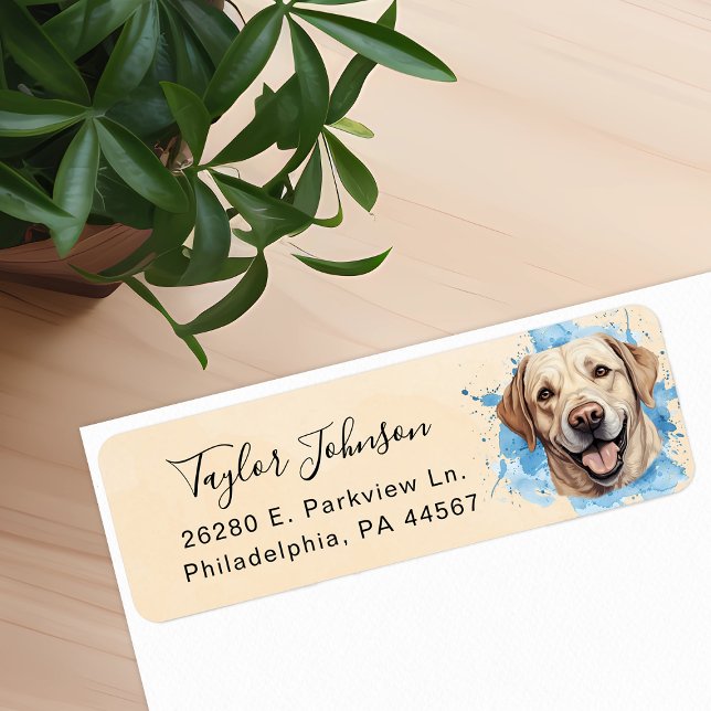 Labrador Retriever Rücksendeadresse (Von Creator hochgeladen)