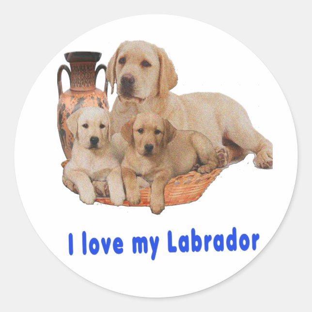 Labrador Retriever Runder Aufkleber (Vorderseite)