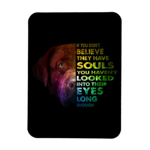 Labrador Retriever schaute in ihren Hund am Auge. Magnet