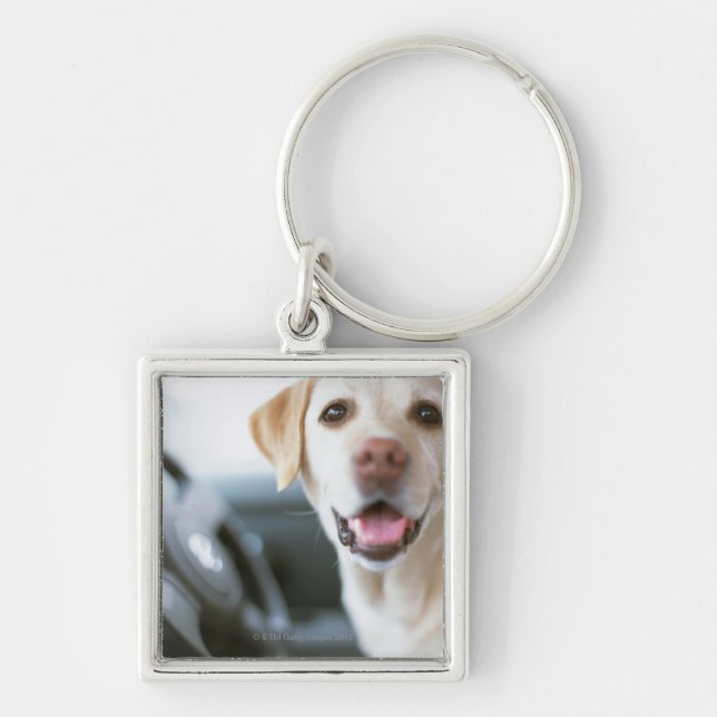 Labrador retriever schlüsselanhänger (Vorne)