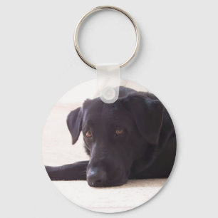 labrador retriever schlüsselanhänger
