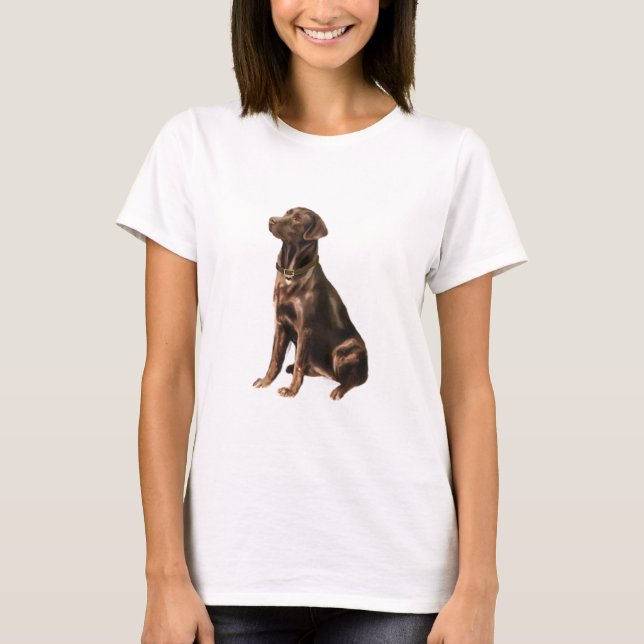 Labrador Retriever - Schokolade 1 T-Shirt (Vorderseite)