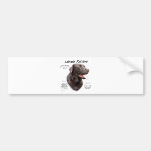 Labrador Retriever (Schokolade) Historisches Desig Autoaufkleber