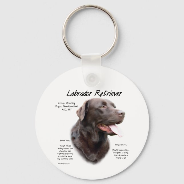 Labrador Retriever (Schokolade) Historisches Desig Schlüsselanhänger (Vorderseite)