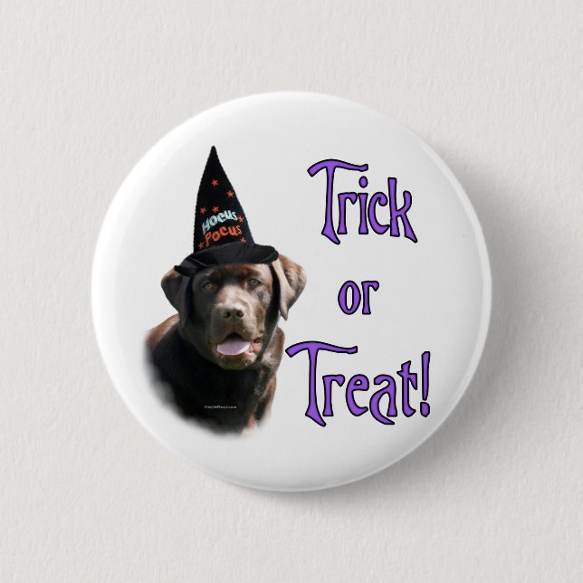 Labrador Retriever (Schokolade) Trick Button (Vorderseite)