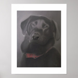 Labrador Retriever Schöne 11x14 Poster