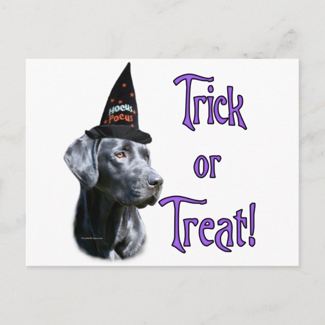 Labrador Retriever (schwarz) Trick Postkarte (Vorderseite)