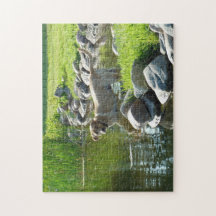 Labrador Retriever See-Felsen