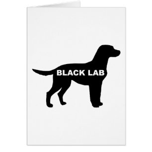 Labrador Retriever silo schwarz