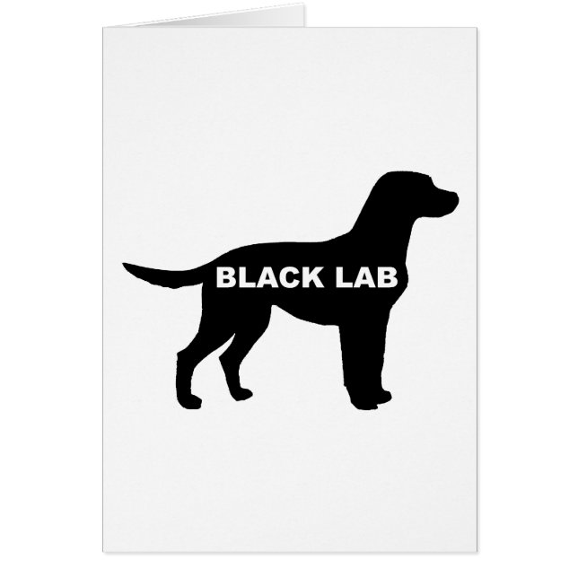 Labrador Retriever silo schwarz (Vorne)