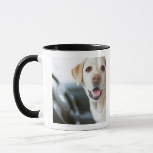 Labrador retriever tasse
