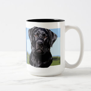 Labrador-Retriever-Tasse Zweifarbige Tasse