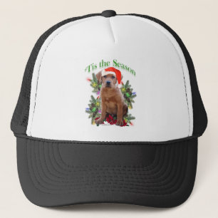 Labrador Retriever "Tis Truckerkappe