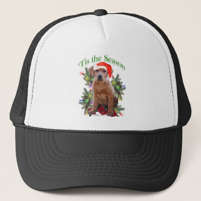 Labrador Retriever "Tis Truckerkappe (Vorderseite)