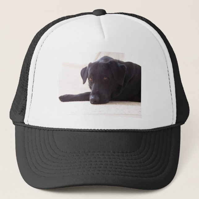 labrador retriever truckerkappe (Vorderseite)
