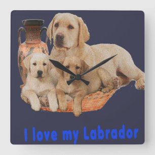 Labrador Retriever-Uhr Quadratische Wanduhr