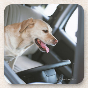 Labrador retriever untersetzer