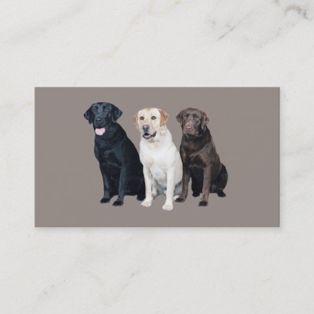 Labrador retriever-Visitenkarte Visitenkarte (Vorderseite)