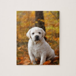 Labrador Retriever Welpe