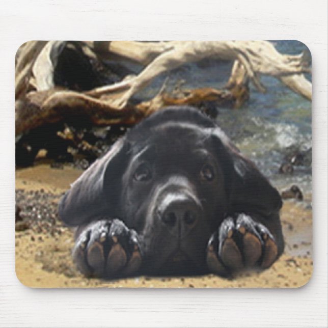 Labrador retriever-Welpe auf Strand Mousepad (Vorne)