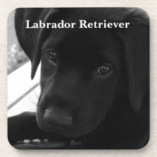 Labrador retriever-Welpe Untersetzer