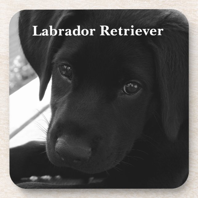 Labrador retriever-Welpe Untersetzer (Vorderseite)