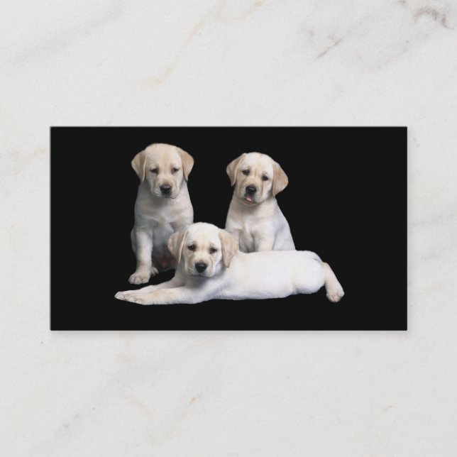 Labrador retriever-Welpen-Visitenkarte Visitenkarte (Vorderseite)