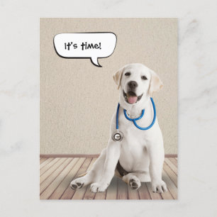 Labrador Retriever Withe Stethoscope Postkarte