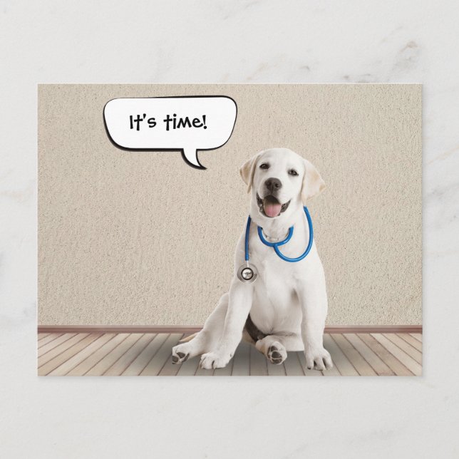 Labrador Retriever Withe Stethoscope Postkarte (Vorderseite)