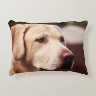 Labrador retriever zierkissen