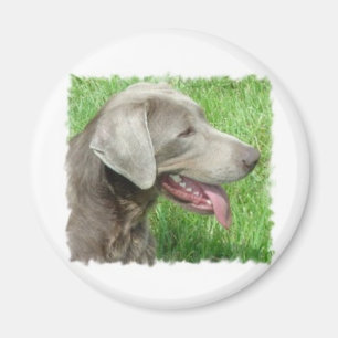 Labrador retrieverkleid und -einzelteile magnet