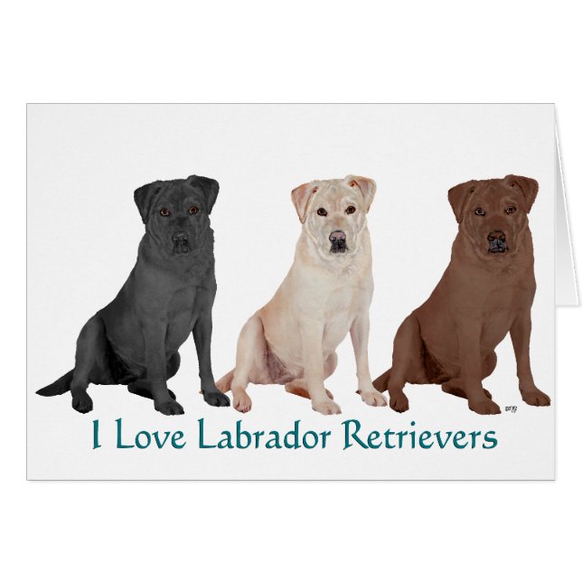 Labrador Retrievers - 3 Farben zur Liebe (Vorderseite (Horizontal))