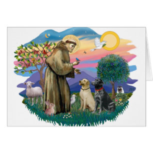 Labrador Retrievers (deux)