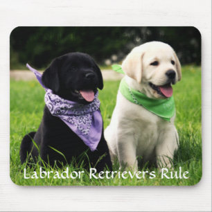 Labrador Retrievers Regel Welpen Mousepad